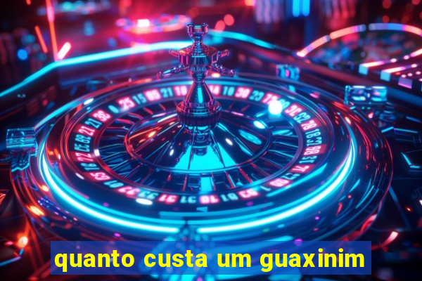 quanto custa um guaxinim